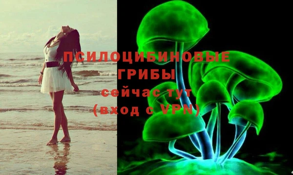 ГАЛЛЮЦИНОГЕННЫЕ ГРИБЫ Ростов