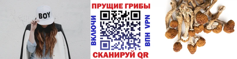 Галлюциногенные грибы MAGIC MUSHROOMS  это состав  Отрадный 