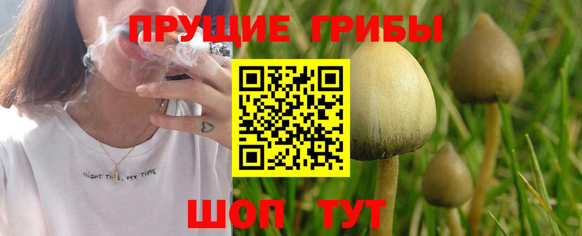 Псилоцибиновые грибы ЛСД  Вход с VPN  магазин продажи наркотиков  Отрадный 